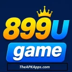 899u Game