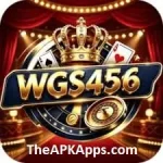 WGS 456 Game